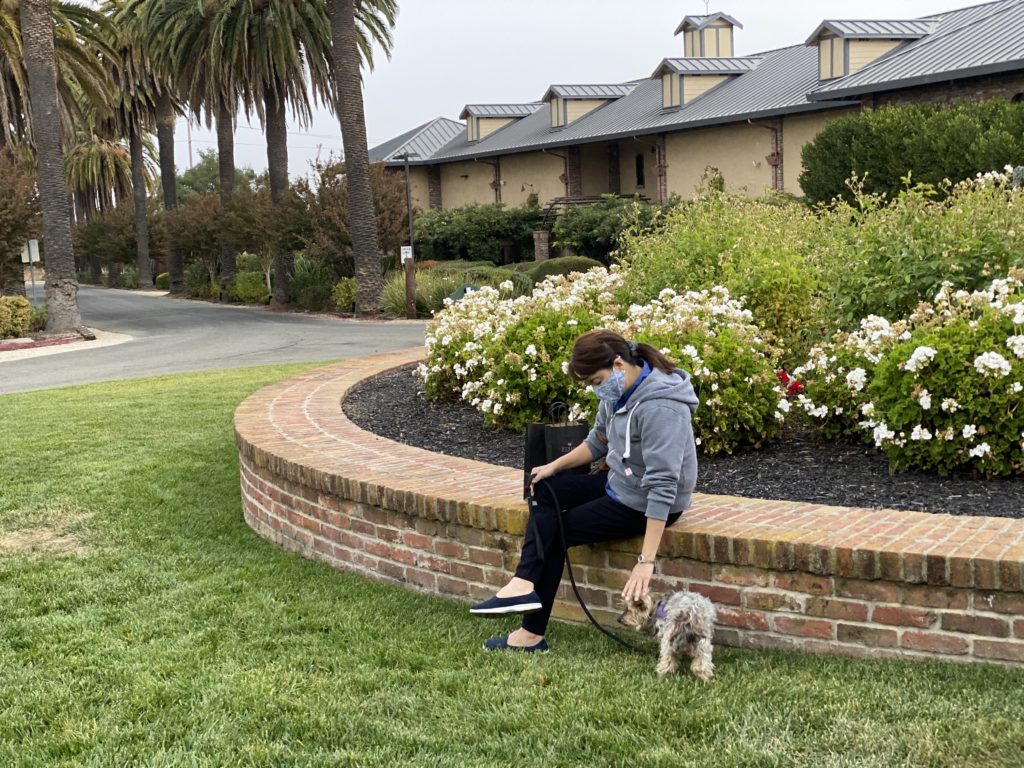 Person sitting on a brick ledge with a small dog nearby in a garden.