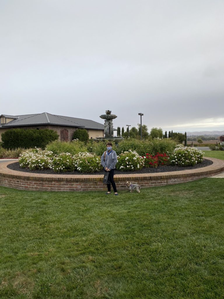 Person standing near a circular flower bed with cloudy sky.