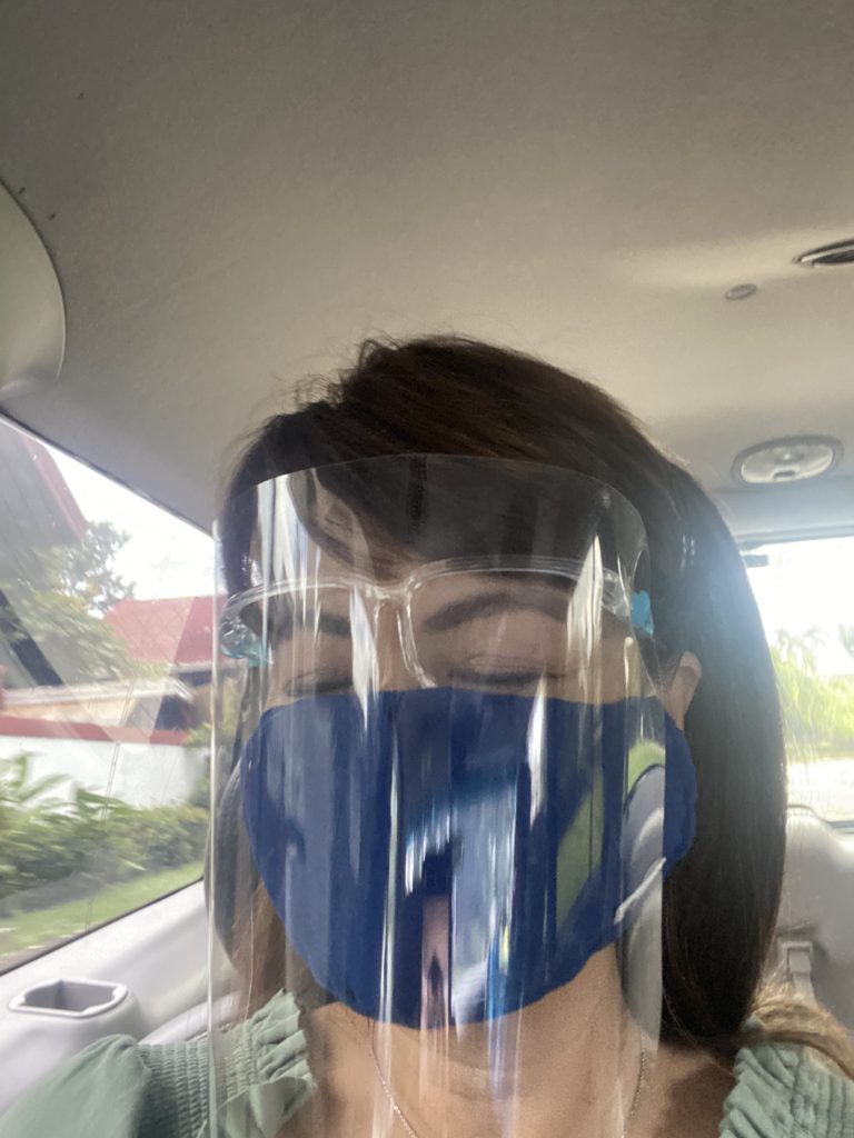 face shield