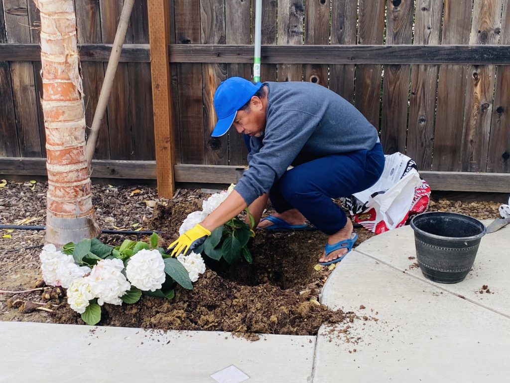 gardening