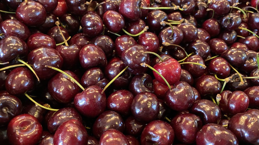 fresh cherries