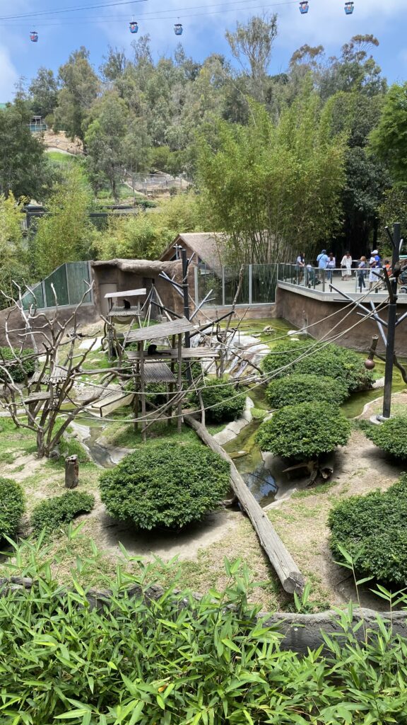 San Diego zoo, bus tour