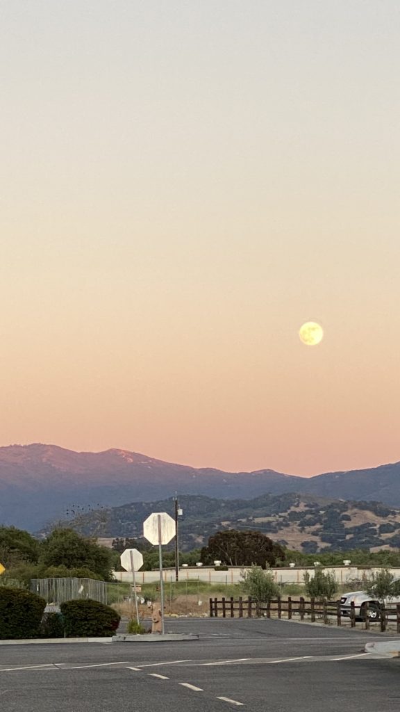 Moon in Buellton