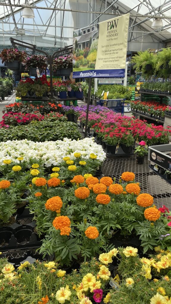 Home Depot garden section