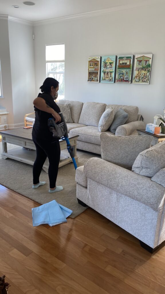 house cleaner