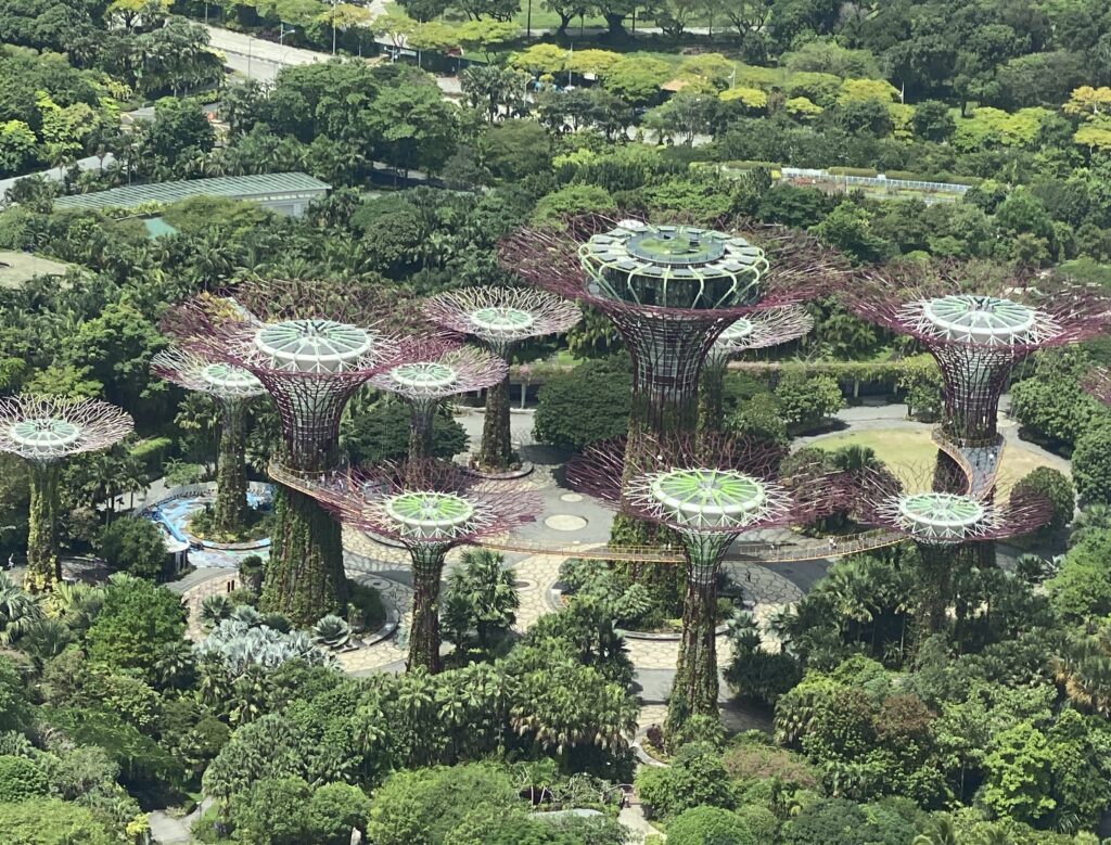 Singapore panoramic view