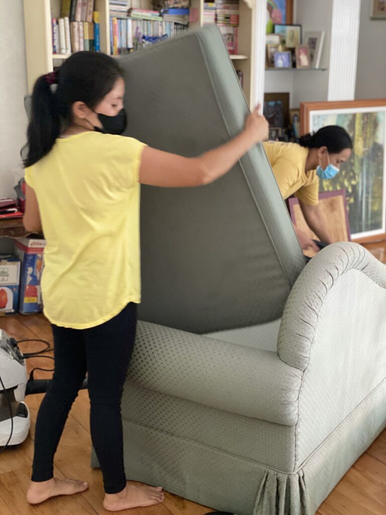 sofa cleaning