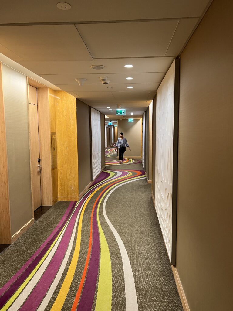 Sofitel hotel carpet