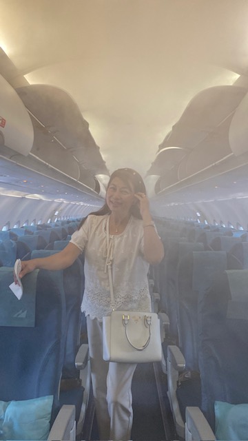 Amazing cool mists, PAL plane