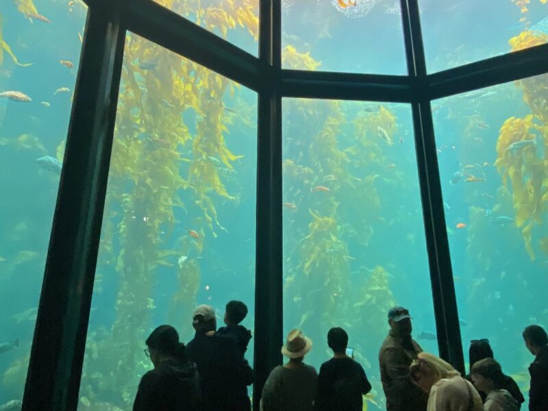Monterey Bay Aquarium